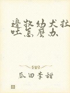 边牧幼犬拉稀呕吐怎么办封面