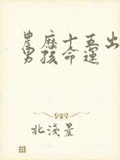 农历十五出生的男孩命运