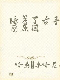 睡着了右手抖什么原因封面