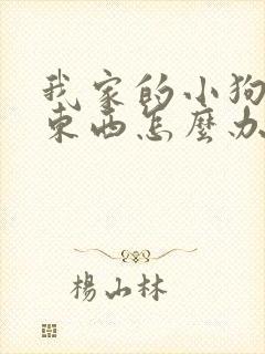 我家的小狗不吃东西怎么办