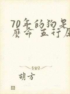 70年的狗是什么命 五行属什么
