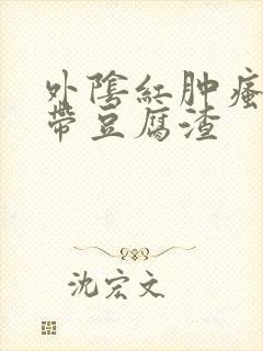 外阴红肿瘙痒白带豆腐渣