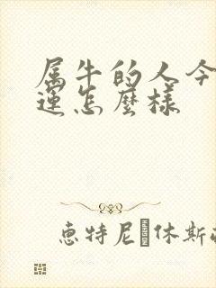 属牛的人今年财运怎么样