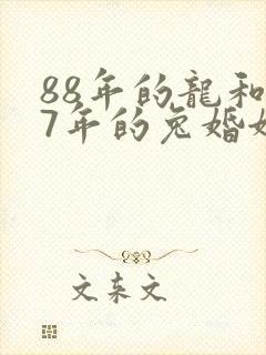 88年的龙和87年的兔婚姻怎么样封面