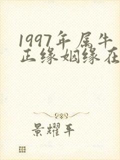 1997年属牛正缘姻缘在哪年封面