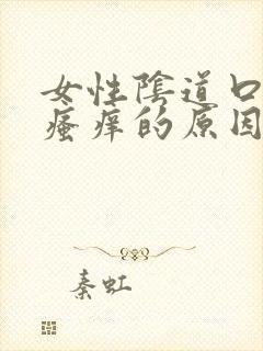 女性阴道口经常瘙痒的原因封面