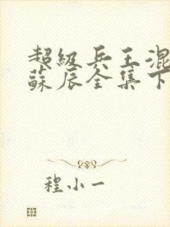 超级兵王混都市苏辰全集下载