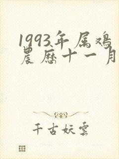 1993年属鸡农历十一月的一生命运封面