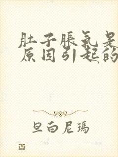 肚子胀气是什么原因引起的怎么治疗封面