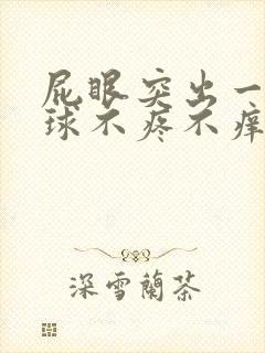 屁眼突出一个肉球不疼不痒