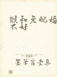 猴和兔配婚姻好不好封面