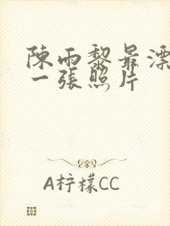 陈雨黎最漂亮的一张照片