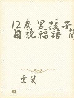 12岁男孩子生日祝福语 简短独特封面