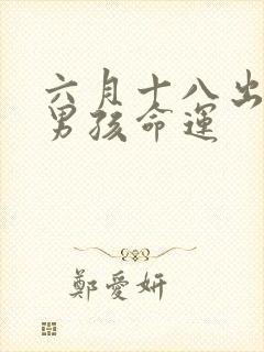 六月十八出生的男孩命运