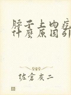 脖子上肉疙瘩是什么原因引起的