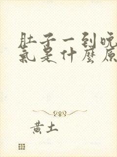 肚子一到晚上胀气是什么原因封面