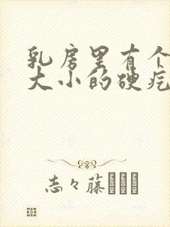 乳房里有个鸡蛋大小的硬疙瘩摸会疼