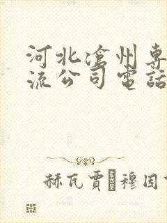 河北沧州专线物流公司电话