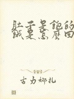 肚子是饱的胃很饿是怎么回事封面