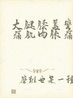 大腿膝盖弯曲疼痛肌肉胀痛