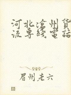 河北沧州货运物流专线电话