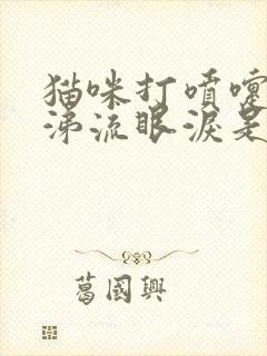 猫咪打喷嚏流鼻涕流眼泪是怎么回事