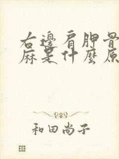 右边肩胛骨疼手麻是什么原因引起的