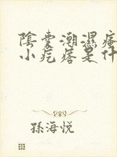 阴囊潮湿瘙痒起小疙瘩是什么原因造成的封面