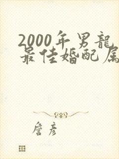 2000年男龙最佳婚配属相