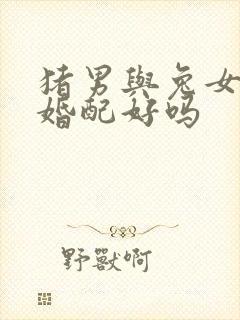 猪男与兔女属相婚配好吗