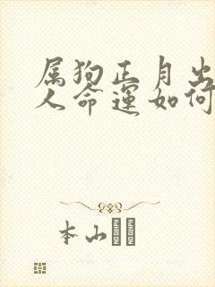 属狗正月出生的人命运如何