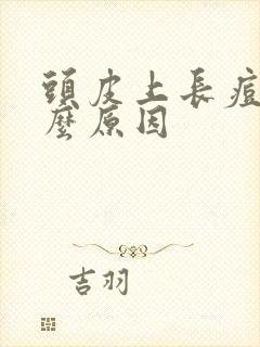 头皮上长痘痘什么原因封面