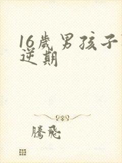 16岁男孩子叛逆期