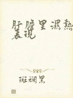 肝胆里湿热重的表现封面