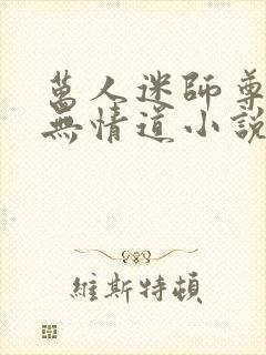 万人迷师尊他修无情道小说