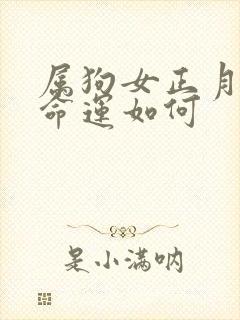 属狗女正月出生命运如何封面