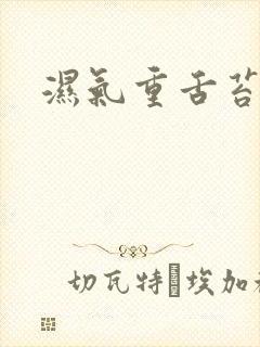 湿气重舌苔黄厚