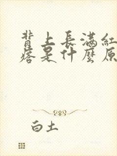 背上长满红色疙瘩是什么原因封面