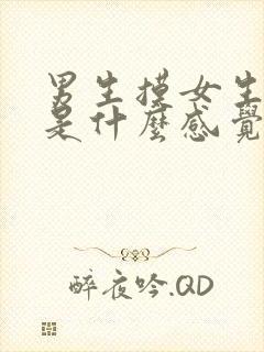 男生摸女生的胸是什么感觉