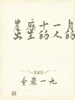 农历十一月三十出生的人的命运封面