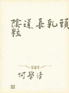 阴道长乳头状颗粒