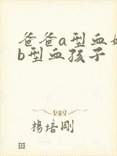 爸爸a型血妈妈b型血孩子封面