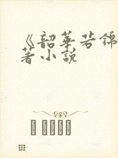 《韶华若锦》原著小说