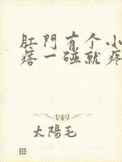 肛门有个小硬疙瘩一碰就疼