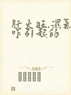 肝火旺,湿气重咋引起的