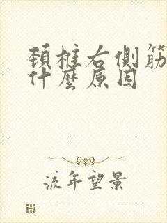 颈椎右侧筋疼是什么原因