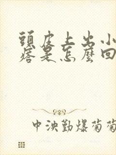 头皮上出小红疙瘩是怎么回事