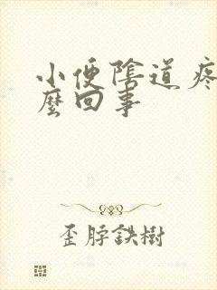 小便阴道疼痛怎么回事