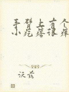 手臂上有个硬的小疙瘩很痒