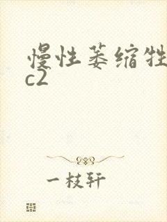 慢性萎缩牲胃炎c2